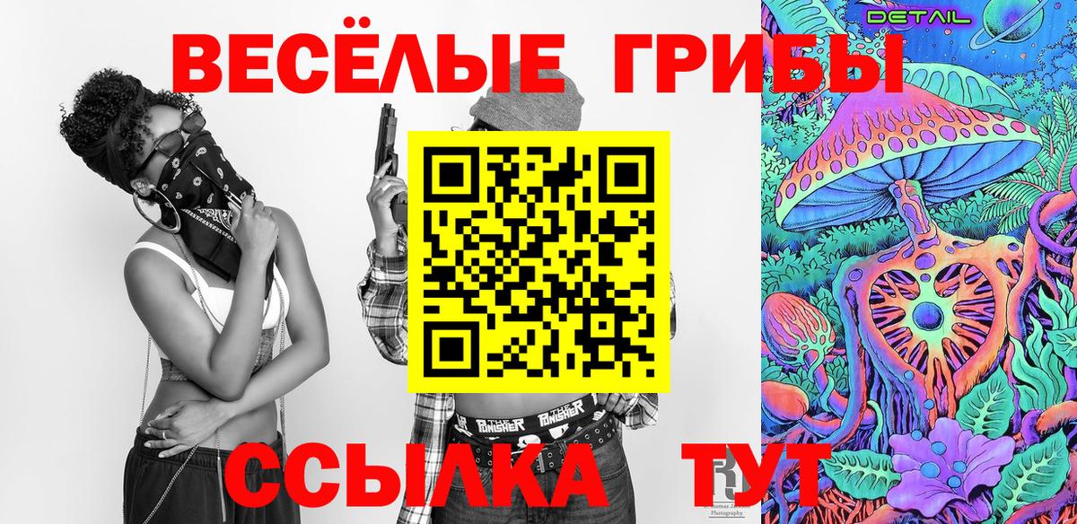 Псилоцибиновые грибы Cubensis Сегежа